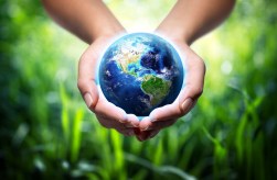 From Idea to Reality: A Step-by-Step Guide for Starting Your Own Zero Waste Shop